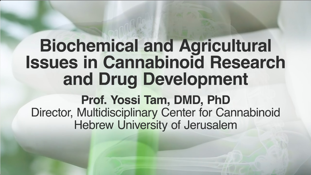 Watch Full Movie - Bioqu&iacute;mica de compuestos naturales y sint&eacute;ticos / Biochemical and Agricultural Issues in Cannabinoid Research and Drug Development - Ver trailer