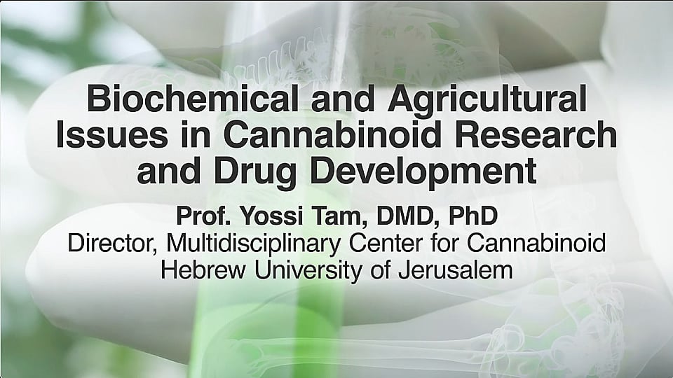 Watch Full Movie - Bioquímica de compuestos naturales y sintéticos / Biochemical and Agricultural Issues in Cannabinoid Research and Drug Development - Ver trailer