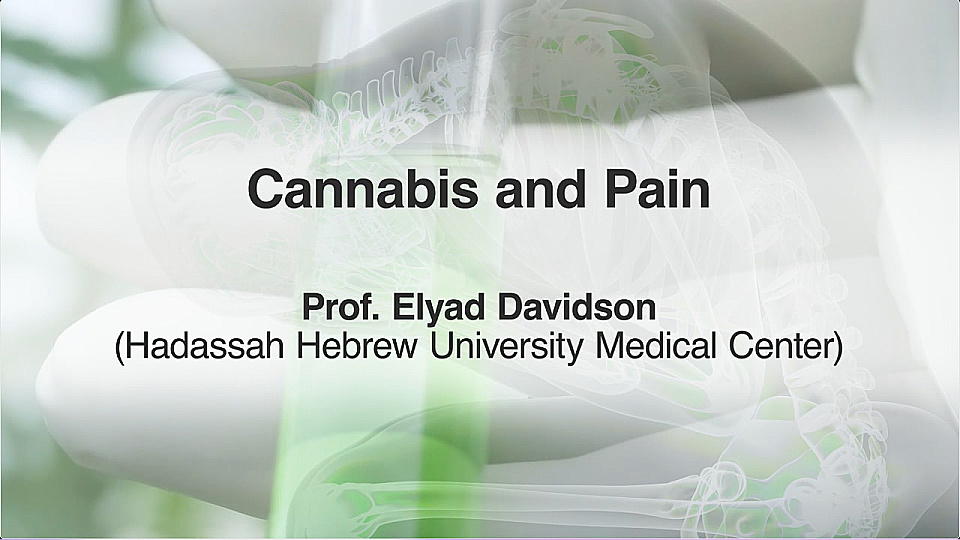 Watch Full Movie - Cannabis and Pain - Ver trailer