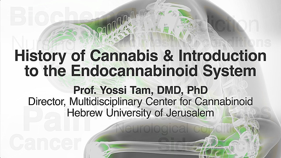 Watch Full Movie - Historia del consumo de Cannabis / History of Cannabis and Introduction to the Endocannabinoid system - Ver trailer